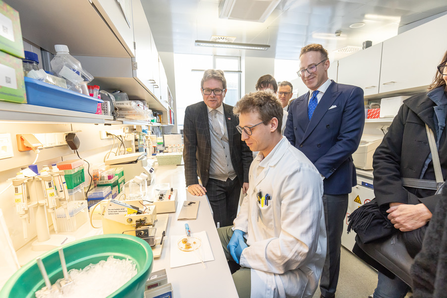 Bild 30 | Gründung des Austrian Comprehensive Cancer Network (ACCN