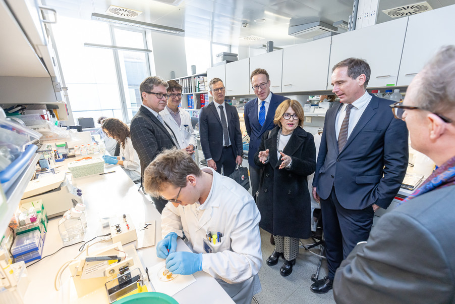 Bild 32 | Gründung des Austrian Comprehensive Cancer Network (ACCN