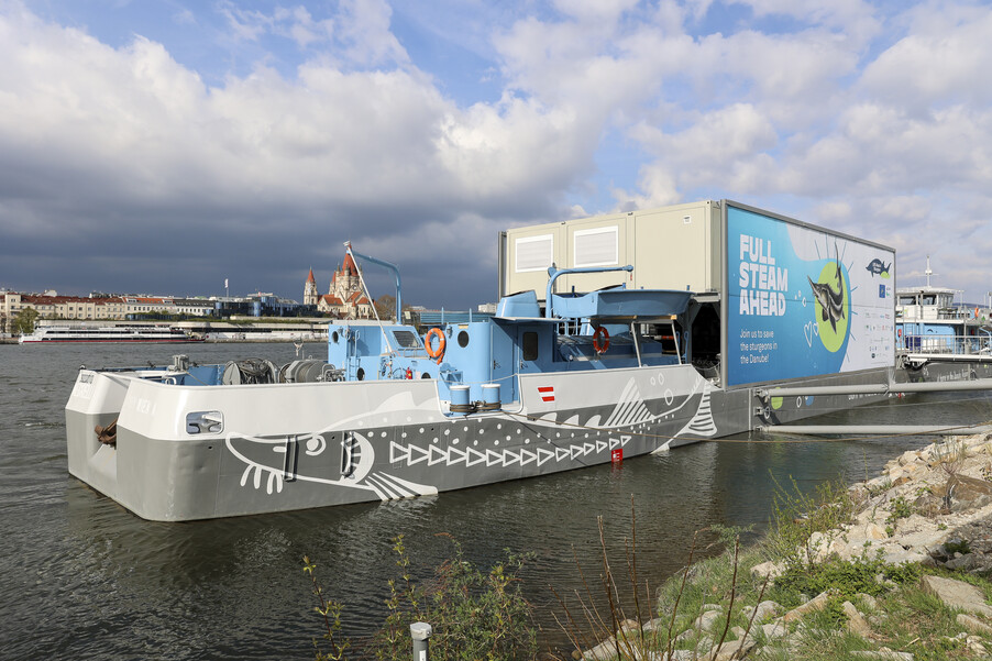 Bild 15 | Europas erste schwimmende Aufzuchtstation für Störe eröffnet auf der Donau in Wien