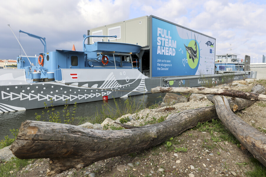 Bild 16 | Europas erste schwimmende Aufzuchtstation für Störe eröffnet auf der Donau in Wien