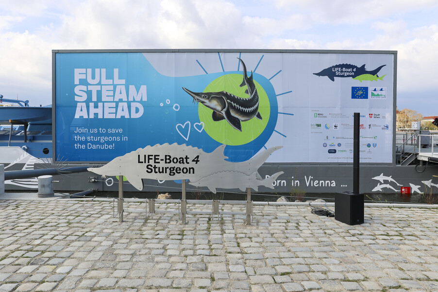 Bild 20 | Europas erste schwimmende Aufzuchtstation für Störe eröffnet auf der Donau in Wien