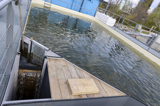 Bild 31 | Europas erste schwimmende Aufzuchtstation für Störe eröffnet auf der Donau in Wien