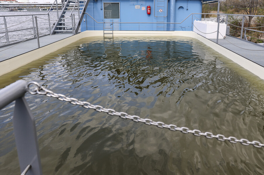 Bild 32 | Europas erste schwimmende Aufzuchtstation für Störe eröffnet auf der Donau in Wien