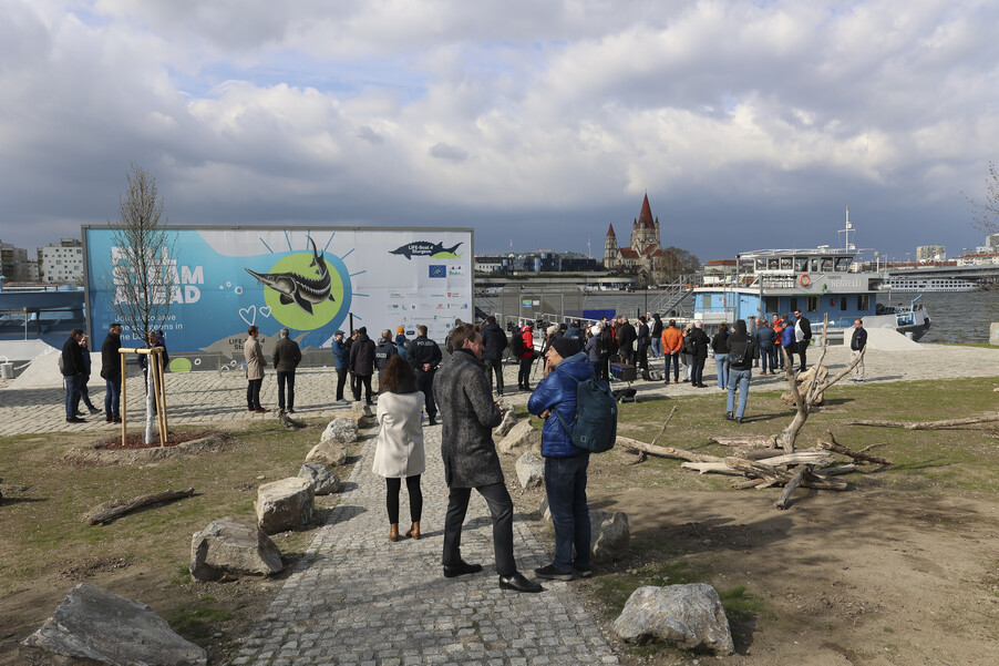 Bild 35 | Europas erste schwimmende Aufzuchtstation für Störe eröffnet auf der Donau in Wien