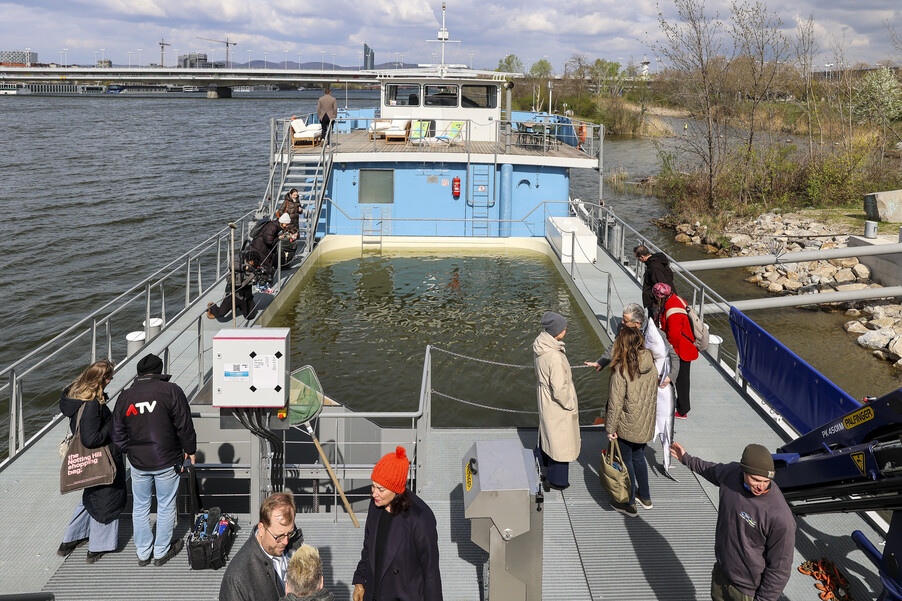 Bild 38 | Europas erste schwimmende Aufzuchtstation für Störe eröffnet auf der Donau in Wien