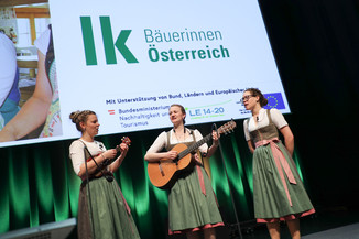 Bild 10 / 367
