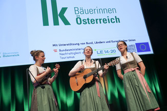 Bild 11 / 367