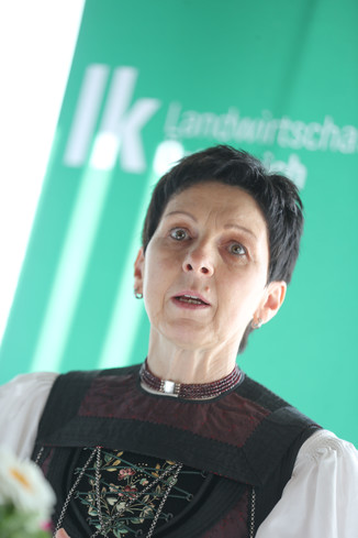 Bild 15 / 113