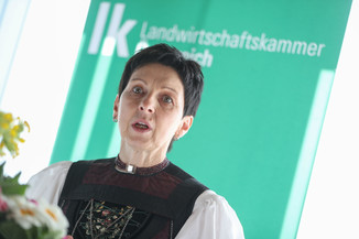 Bild 16 / 113