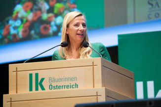 Bild 86 / 113