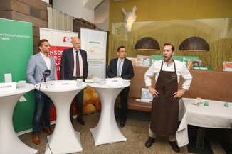 Bild 8 / 49