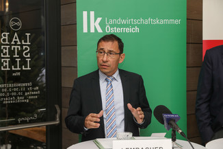Bild 4 / 49