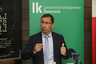 Bild 32 / 49