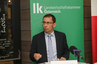 Bild 36 / 49