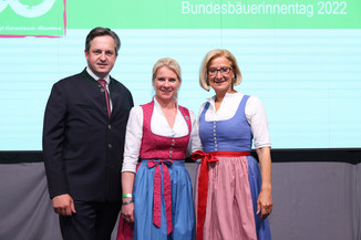 Bild 44 / 195