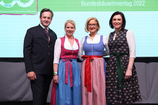 Bild 45 / 195