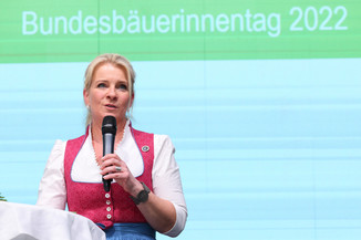 Bild 62 / 195