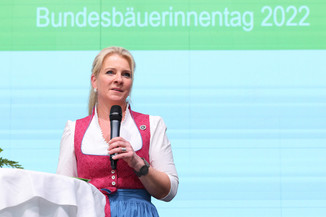 Bild 63 / 195