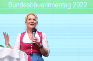 Bild 64 / 195