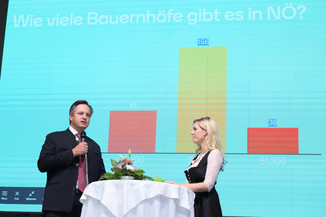 Bild 71 / 195