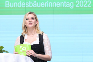 Bild 76 / 195