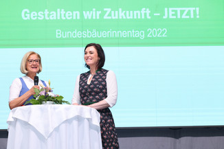 Bild 92 / 195