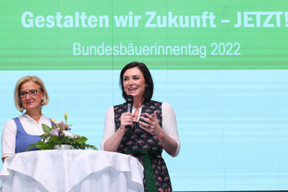 Bild 102 / 195