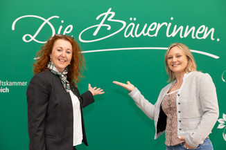 Bild 150 / 195