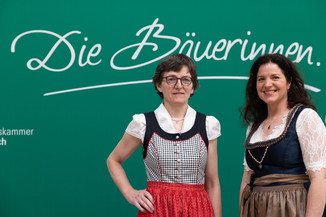 Bild 151 / 195