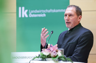 Bild 4 / 251