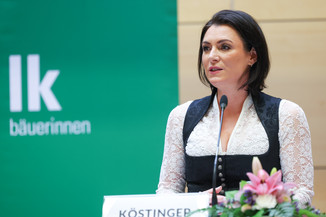 Bild 5 / 251