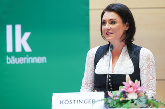 Bild 7 / 251