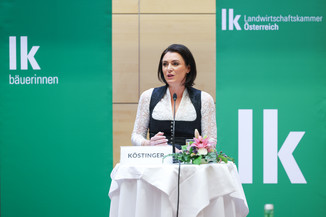 Bild 8 / 251