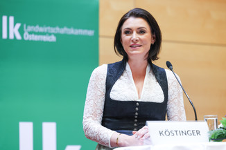 Bild 9 / 251