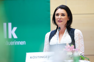 Bild 10 / 251