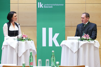 Bild 11 / 251