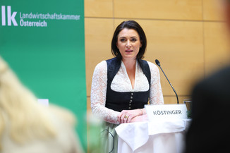 Bild 13 / 251