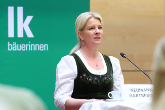 Bild 15 / 251