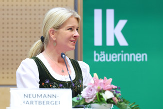 Bild 16 / 251