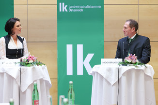 Bild 18 / 251