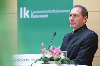 Bild 23 / 251