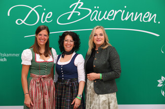 Bild 28 / 251