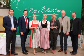 Bild 29 / 251