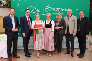 Bild 30 / 251