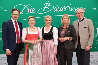 Bild 32 / 251
