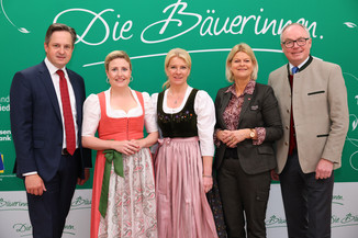 Bild 33 / 251