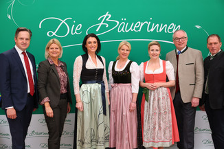 Bild 38 / 251