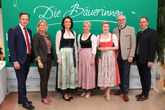 Bild 40 / 251