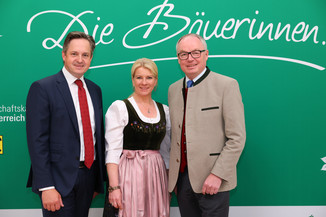 Bild 41 / 251