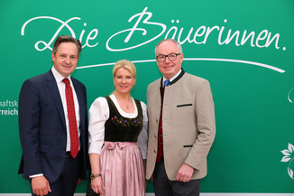 Bild 42 / 251